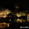 Night illumination, Mifuneyama Rakuen