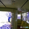 Gallery space in Kamome 885 express