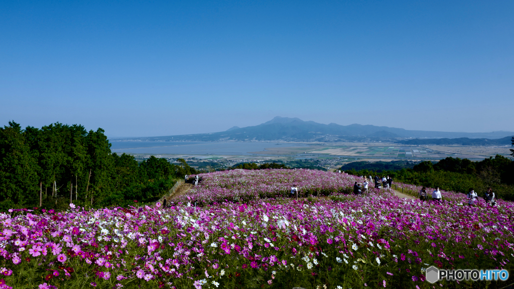 高原へいらっしゃい、白木峰高原