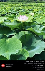 First shoot Lotus 2025