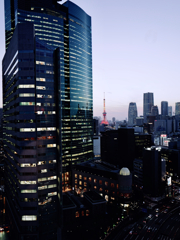 Tokyo city view 2024
