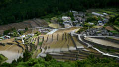 Shimizu Tanada(Rice terraces) 2010