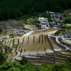 Shimizu Tanada(Rice terraces) 2010