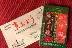 今日は、をどり日