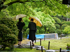 ノクチクロン：雨の景 III