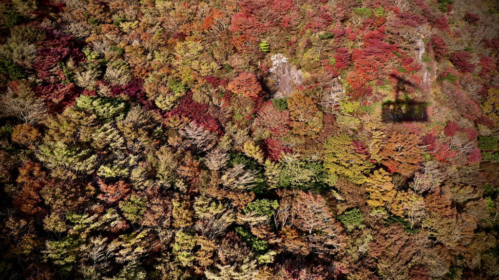 令和二年 神無月 雲仙ロープウェイからの紅葉