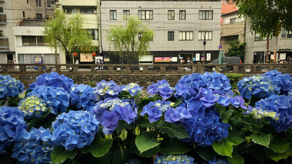 Seasonal Scenery, Nagasaki