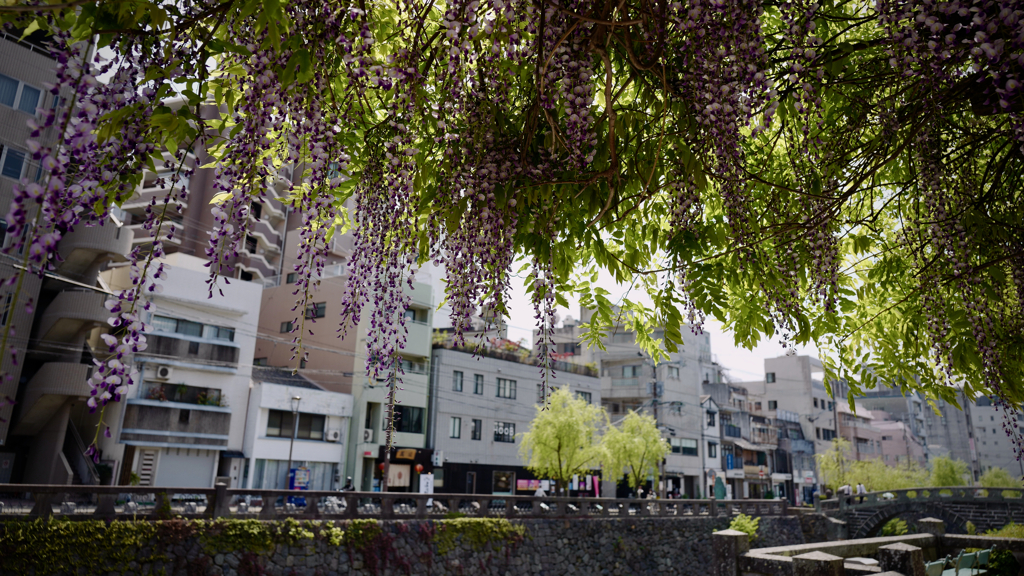 fujitana, Nakashima riverside