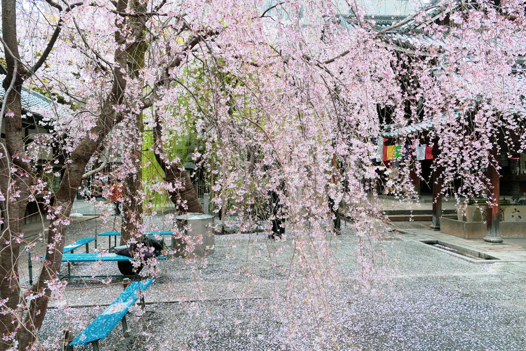 Rambling Kyoto Rokkakudo report