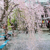 Rambling Kyoto Rokkakudo report