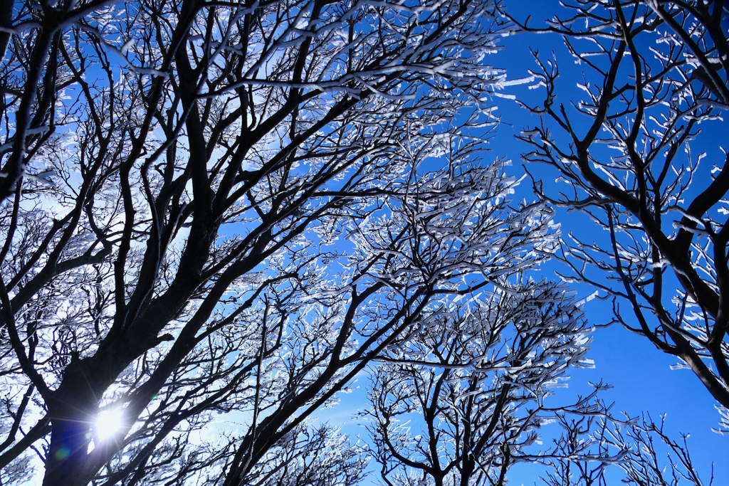 Looking up