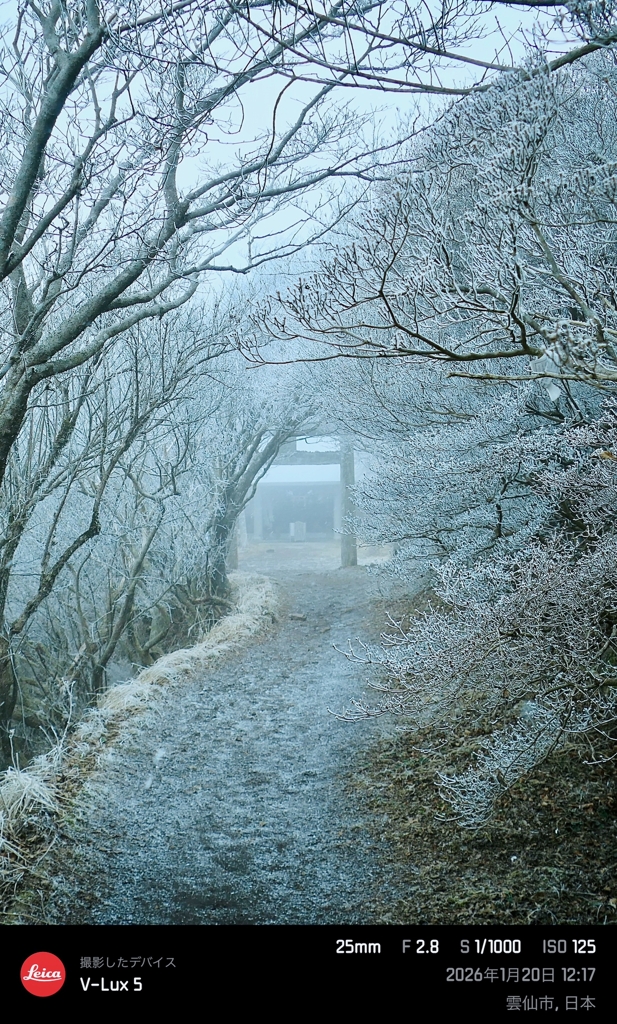 初詣：妙見神社