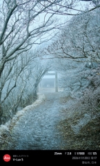 初詣：妙見神社