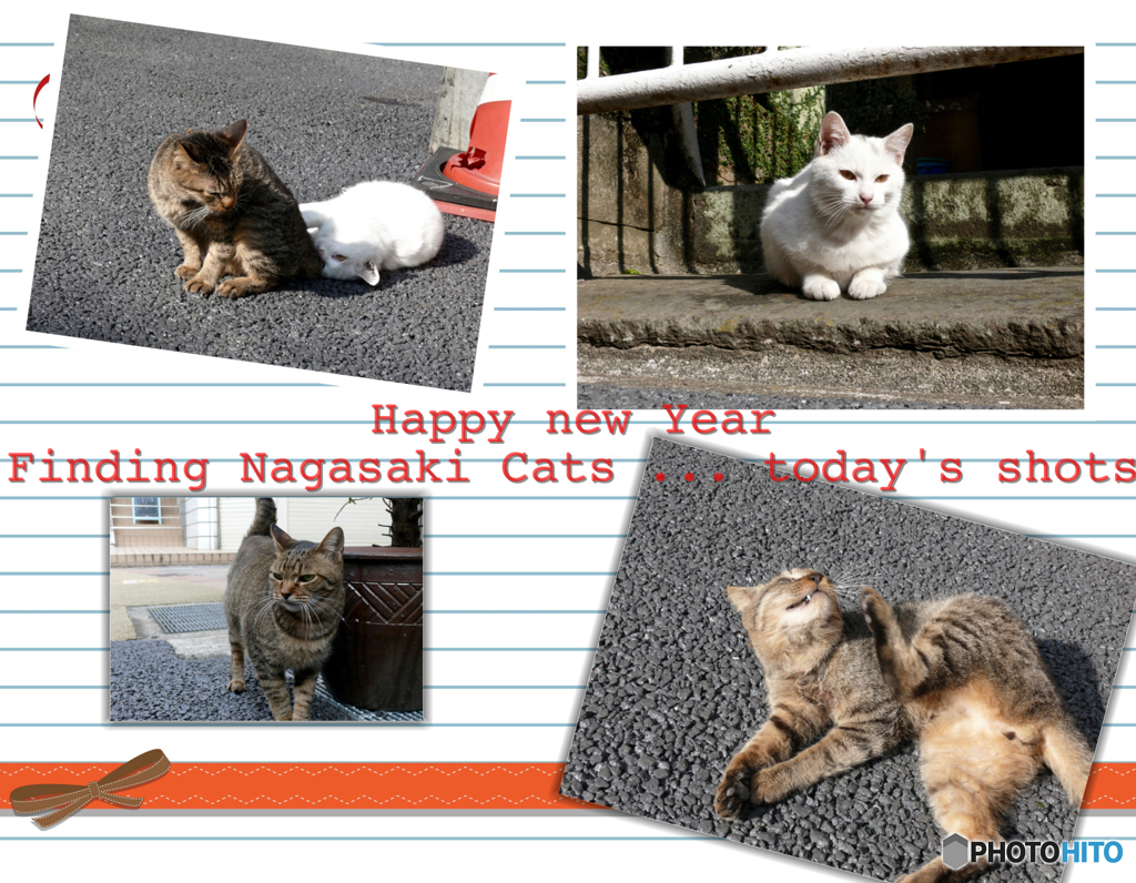 Nagasaki Cats Collage