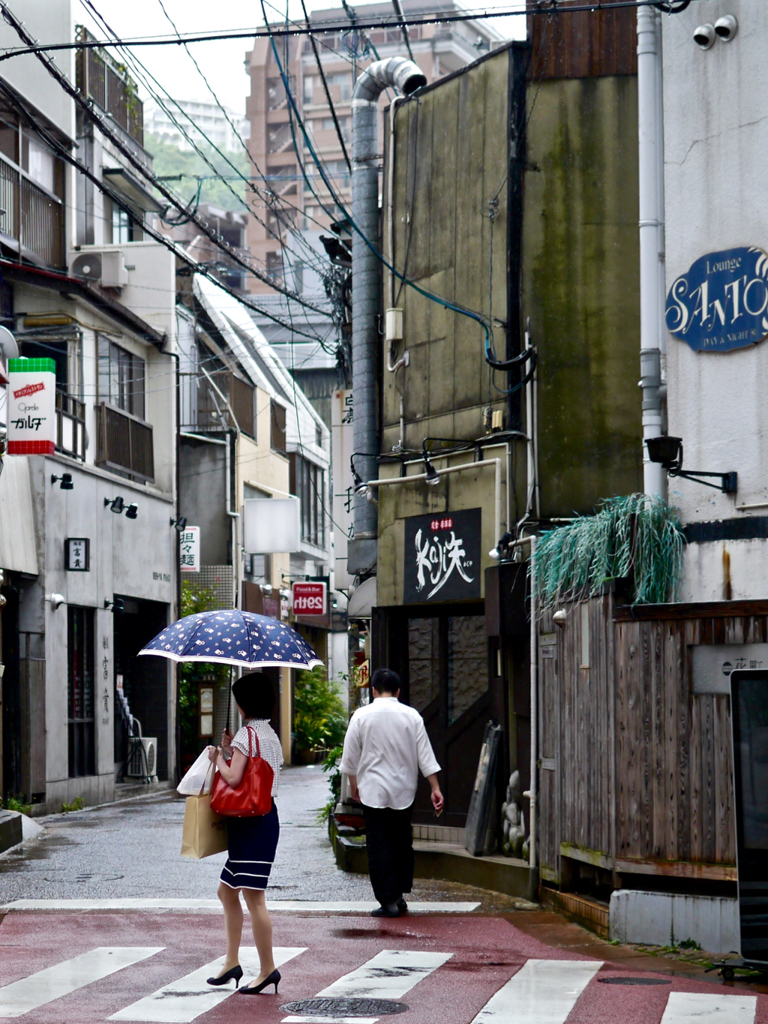 Scenery of Showers / 雨の景 II