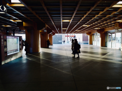 Nara station concourse, JR West 2017