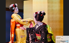 本日の：だらりの帯を♫