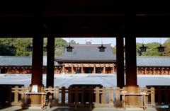Morning Scene : Kashihara Shrine, Nara