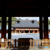 Morning Scene : Kashihara Shrine, Nara