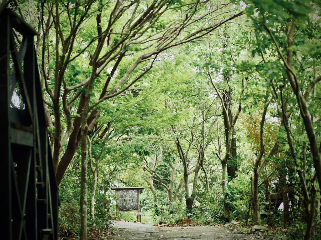 風の森を散歩