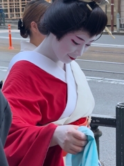 庭先周り：Around Nagasaki City