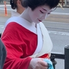 庭先周り：Around Nagasaki City