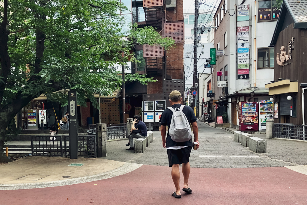 Rambling Kiyamachi Kyoto