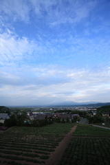 富良野の風景