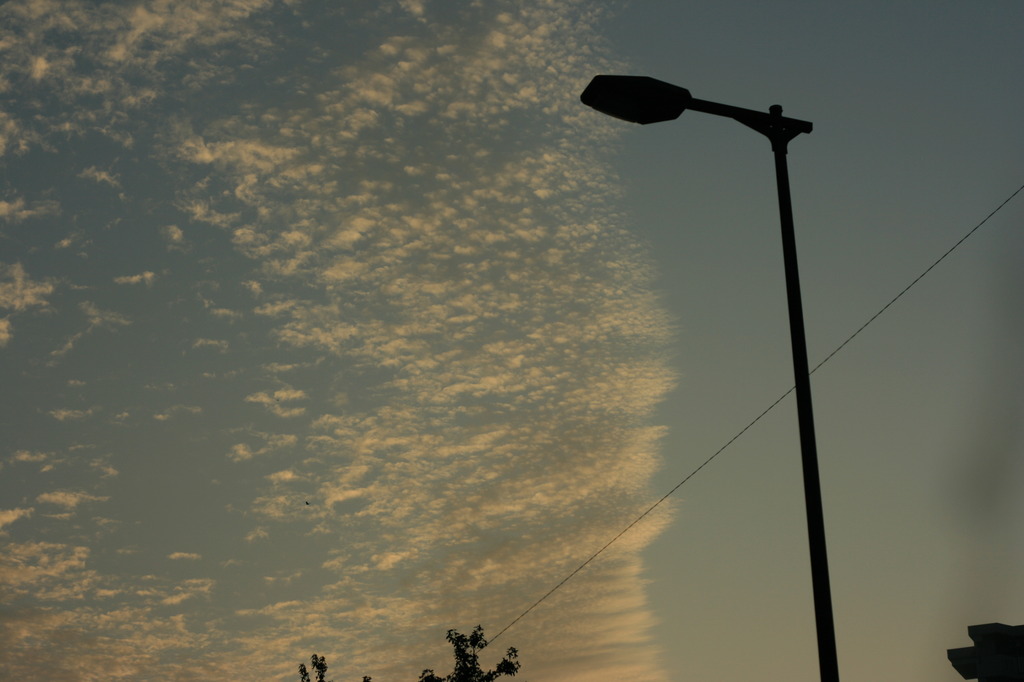 photo296898