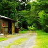 小屋と小道