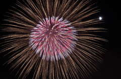 firework-02