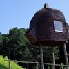 人の巣