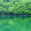 reflection
