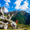 鎮座