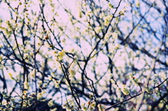 rw0516