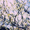 rw0516