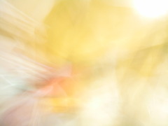 rw0019