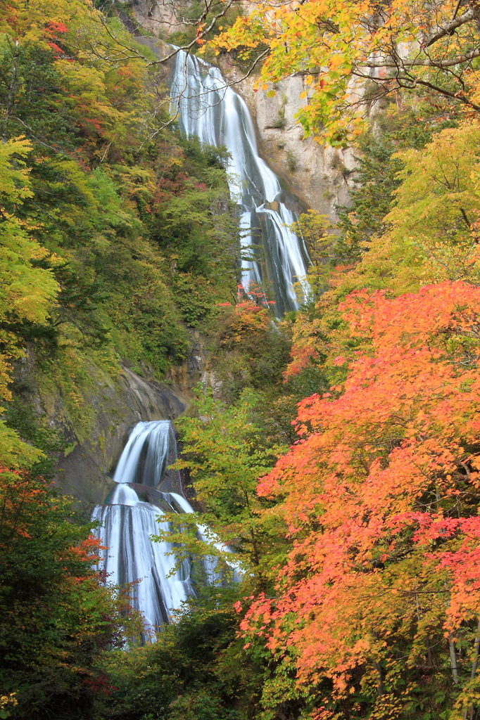 名爆と紅葉