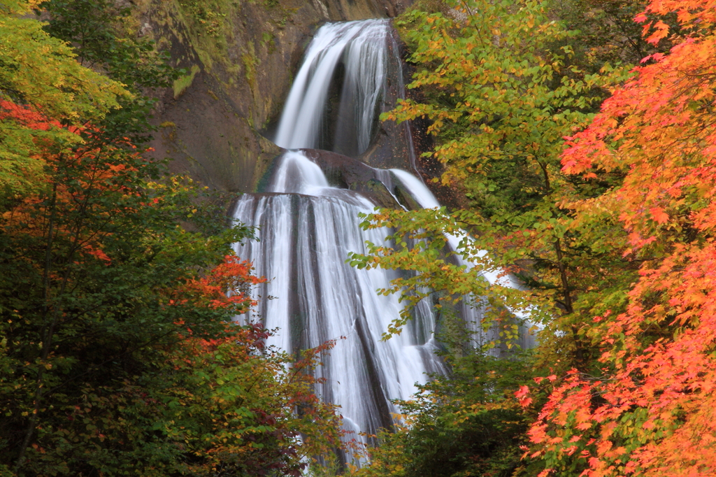 羽衣と紅葉