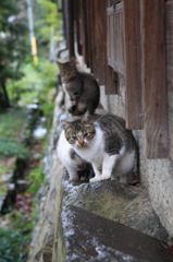 一緒に入る？