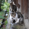 一緒に入る？