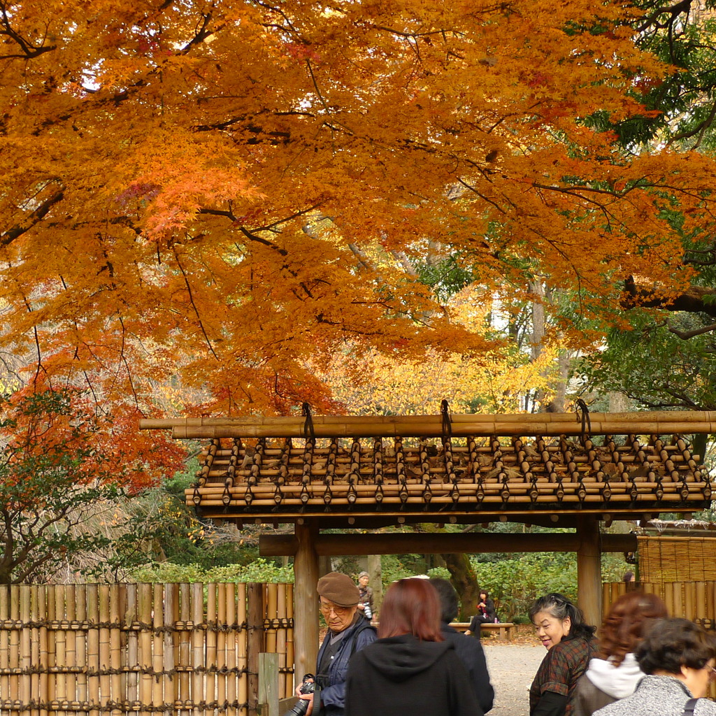 紅葉の門をくぐって