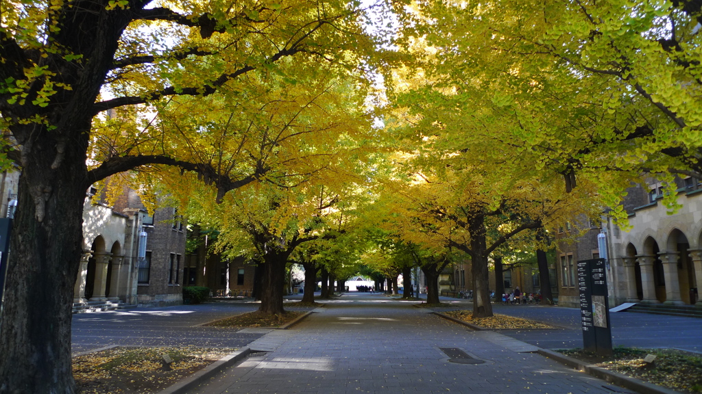 東京大学