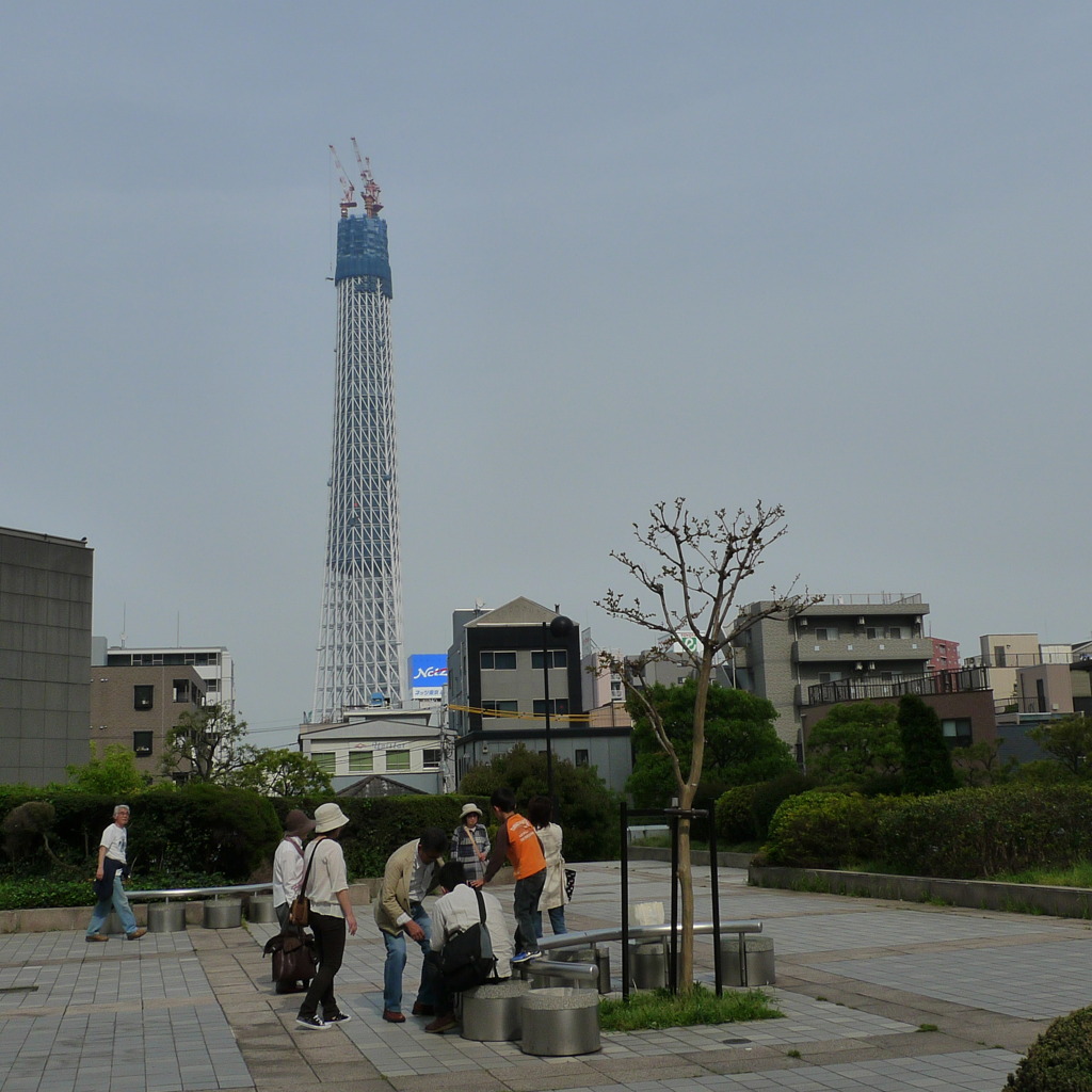 これでもまだ半分の高さ