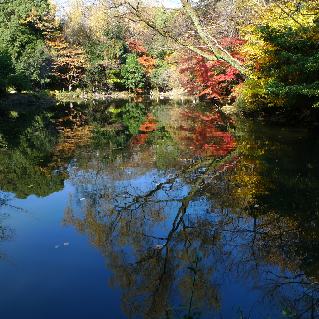 水面に映る紅葉