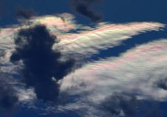 台風の後　彩雲