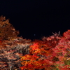 星と紅葉