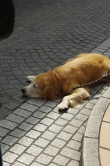 休日の過ごし方