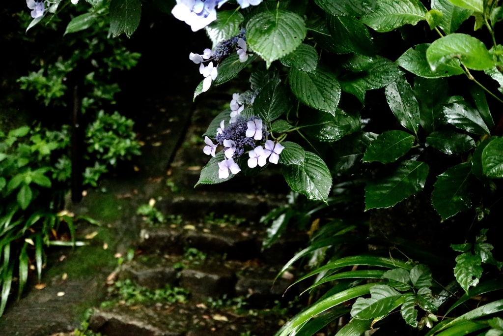 鎌倉
