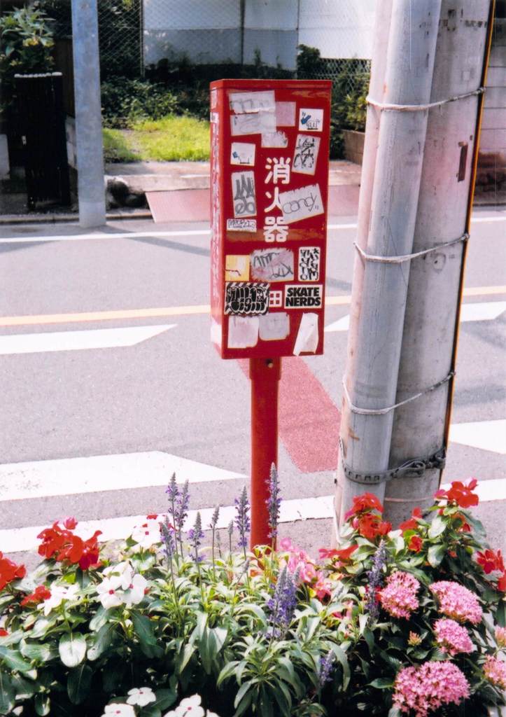 カラー
